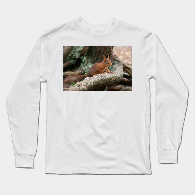 Red Squirrel, May 2019 Long Sleeve T-Shirt by RedHillDigital
